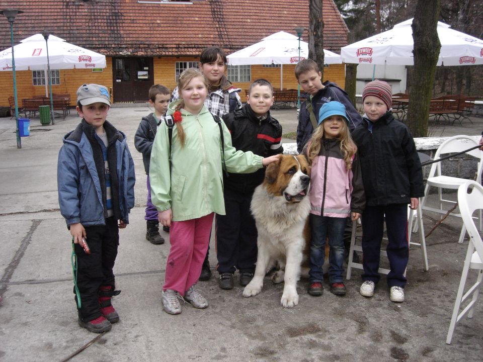 XXIII Rajd na Ślężę s002 - PTTK Strzelin