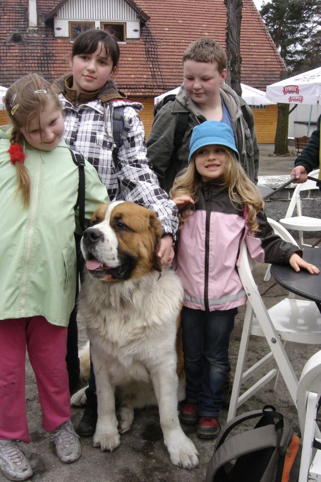 XXIII Rajd na Ślężę s002 - PTTK Strzelin