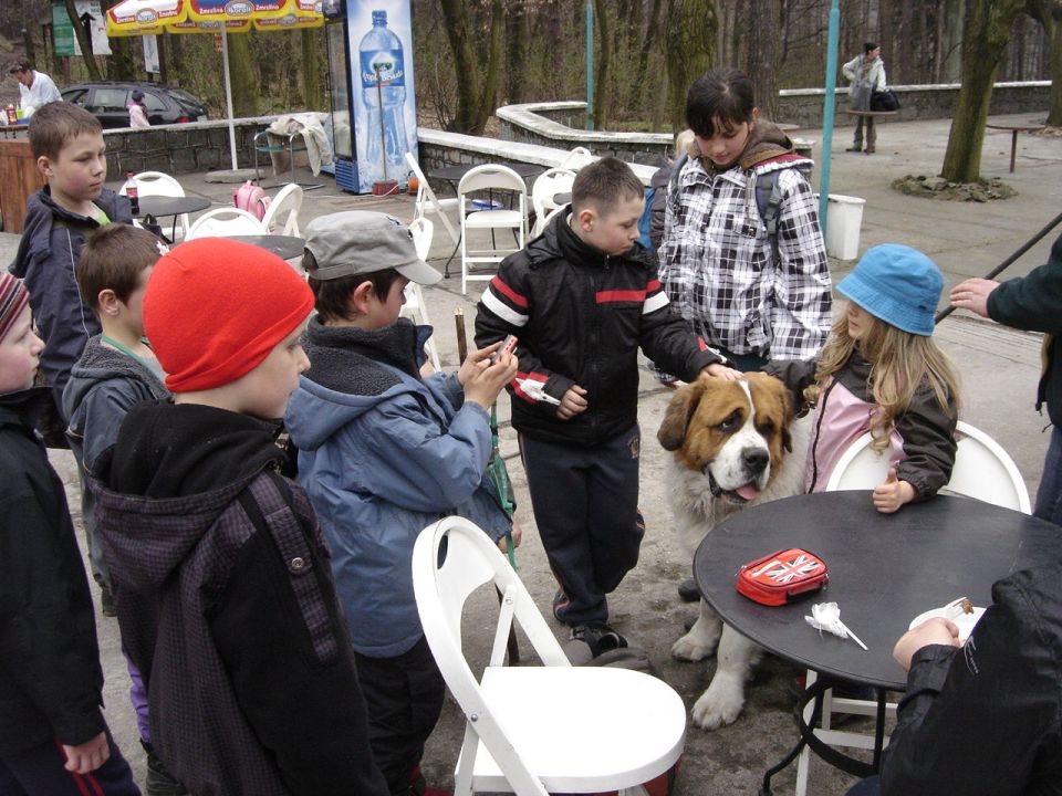 XXIII Rajd na Ślężę s002 - PTTK Strzelin