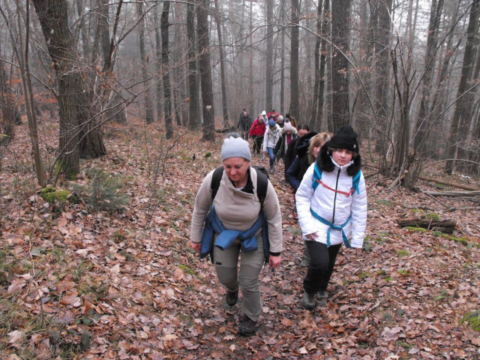 Wzgórza Kiełczyńskie s002 - PTTK Strzelin