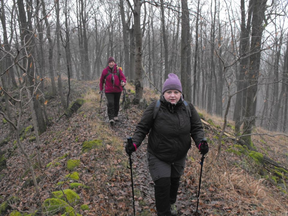 Wzgórza Kiełczyńskie s002 - PTTK Strzelin
