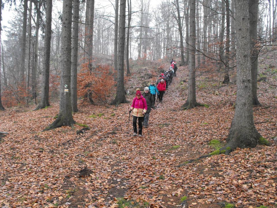 Wzgórza Kiełczyńskie s002 - PTTK Strzelin