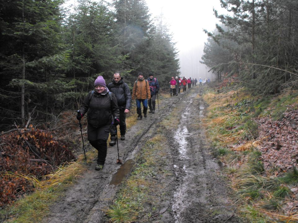 Wzgórza Kiełczyńskie s002 - PTTK Strzelin