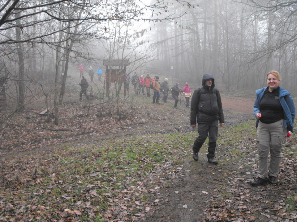 Wzgórza Kiełczyńskie s002 - PTTK Strzelin