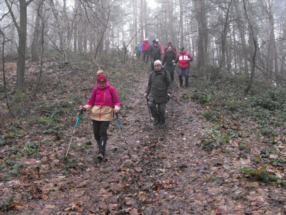 Wzgórza Kiełczyńskie s002 - PTTK Strzelin
