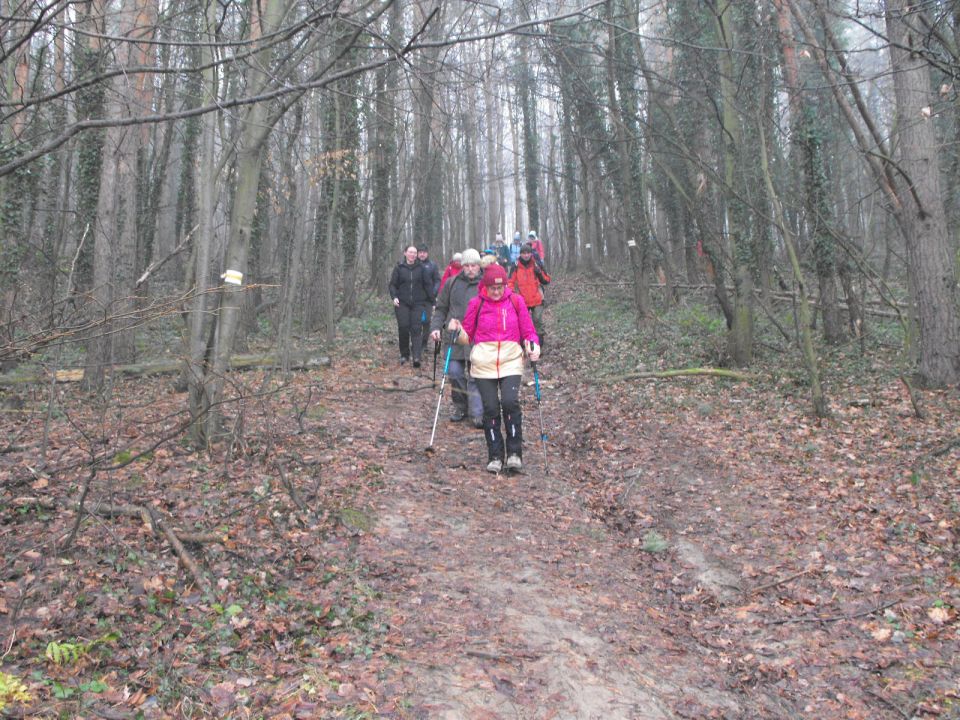Wzgórza Kiełczyńskie s002 - PTTK Strzelin