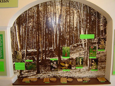 Sob�tka - Muzeum �l�a�skie s023 - PTTK Strzelin