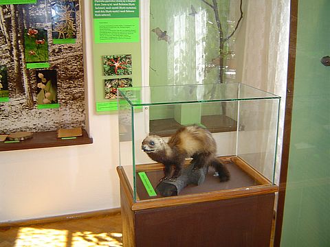 Sob�tka - Muzeum �l�a�skie s024 - PTTK Strzelin