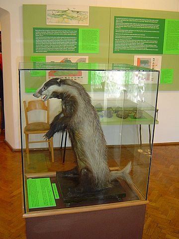 Sob�tka - Muzeum �l�a�skie s025 - PTTK Strzelin