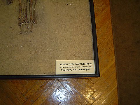 Sob�tka - Muzeum �l�a�skie s031 - PTTK Strzelin