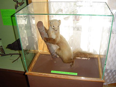 Sob�tka - Muzeum �l�a�skie s035 - PTTK Strzelin