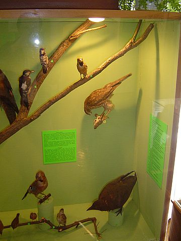 Sob�tka - Muzeum �l�a�skie s036 - PTTK Strzelin