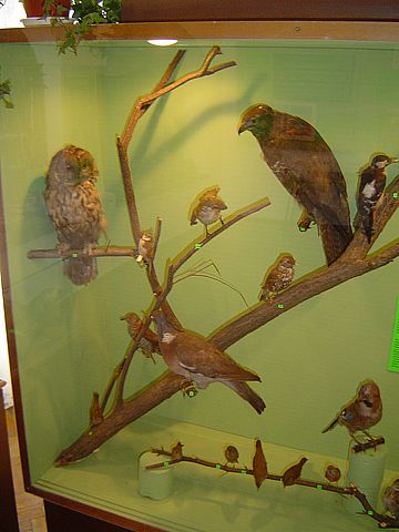 Sob�tka - Muzeum �l�a�skie s037 - PTTK Strzelin