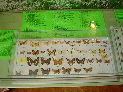 Sob�tka - Muzeum �l�a�skie s038 - PTTK Strzelin