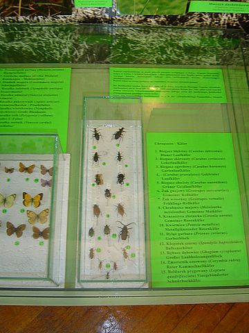 Sob�tka - Muzeum �l�a�skie s039 - PTTK Strzelin