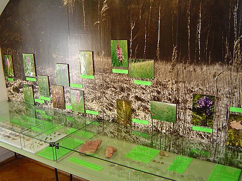 Sob�tka - Muzeum �l�a�skie s040 - PTTK Strzelin