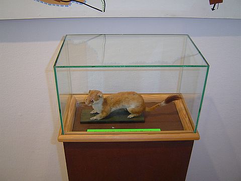 Sob�tka - Muzeum �l�a�skie s043 - PTTK Strzelin