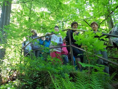 Wycieczka w Masyw Śnieżnika s2 - PTTK Strzelin