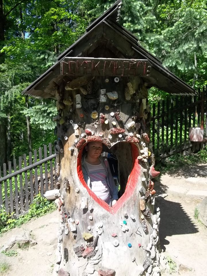 Wycieczka w Masyw Śnieżnika s003 - PTTK Strzelin