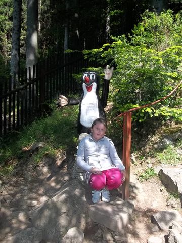 Wycieczka w Masyw Śnieżnika s31 - PTTK Strzelin