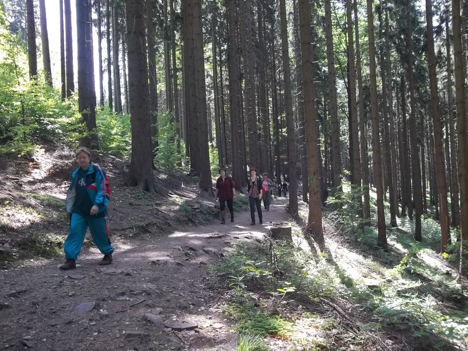 Wycieczka w Masyw Śnieżnika s003 - PTTK Strzelin
