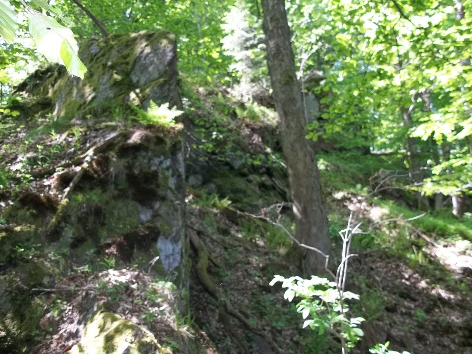 Wycieczka w Masyw Śnieżnika s003 - PTTK Strzelin