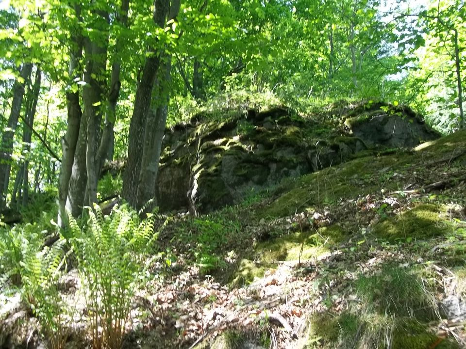 Wycieczka w Masyw Śnieżnika s003 - PTTK Strzelin