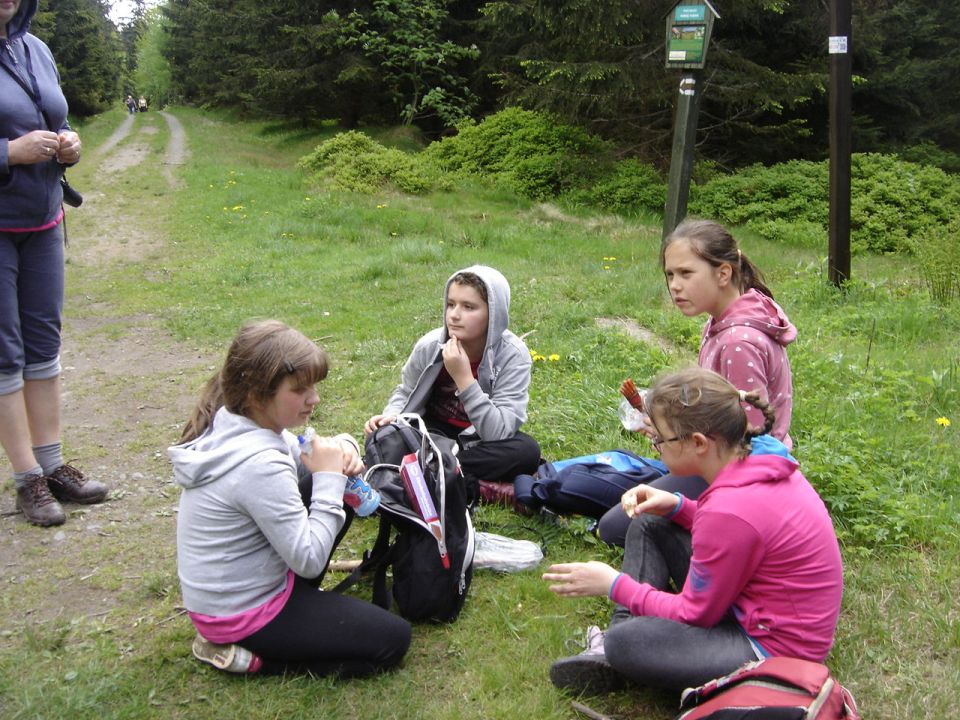 Wycieczka w Masyw Śnieżnika s003 - PTTK Strzelin