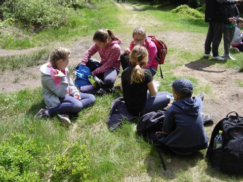 Wycieczka w Masyw Śnieżnika s16 - PTTK Strzelin