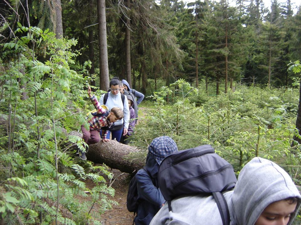 Wycieczka w Masyw Śnieżnika s003 - PTTK Strzelin
