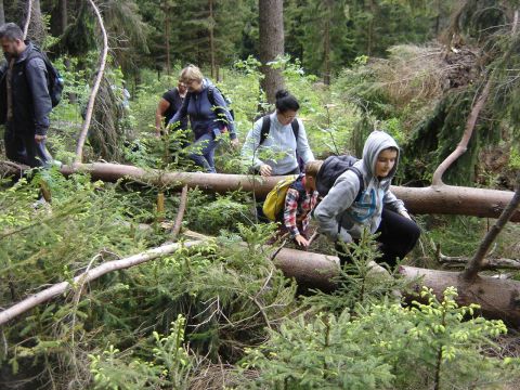 Wycieczka w Masyw Śnieżnika s23 - PTTK Strzelin