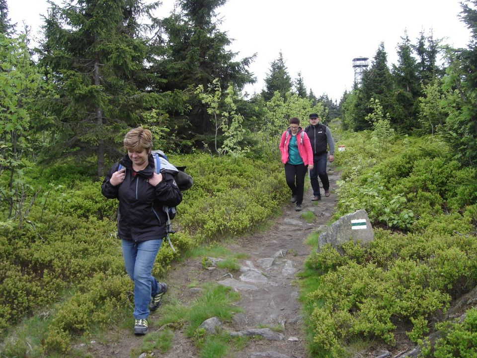 Wycieczka w Masyw Śnieżnika s003 - PTTK Strzelin