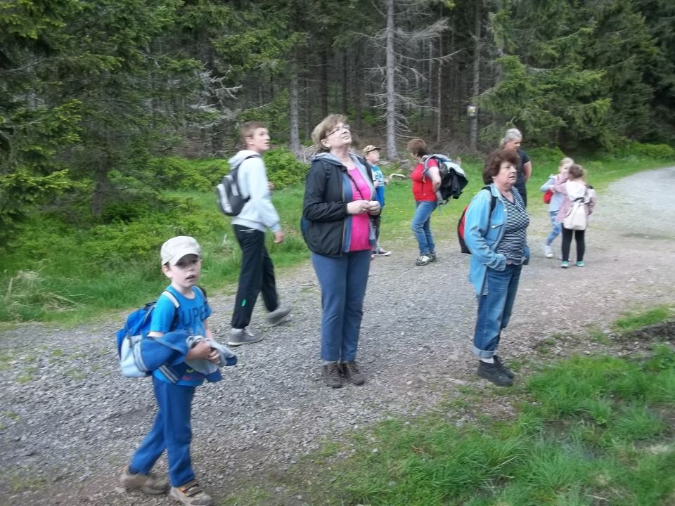 Wycieczka w Masyw Śnieżnika s003 - PTTK Strzelin