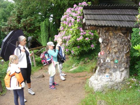 Wycieczka w Masyw Śnieżnika s25 - PTTK Strzelin