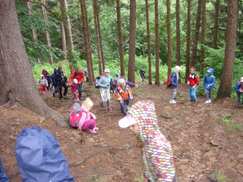 Wycieczka w Masyw Śnieżnika s29 - PTTK Strzelin