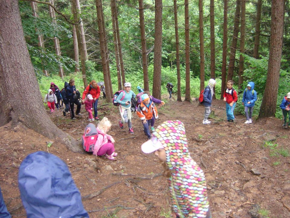 Wycieczka w Masyw Śnieżnika s003 - PTTK Strzelin