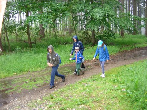 Wycieczka w Masyw Śnieżnika s31 - PTTK Strzelin