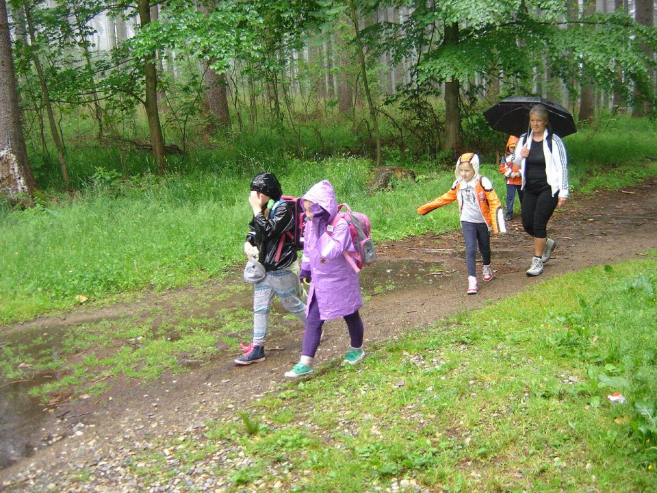 Wycieczka w Masyw Śnieżnika s003 - PTTK Strzelin