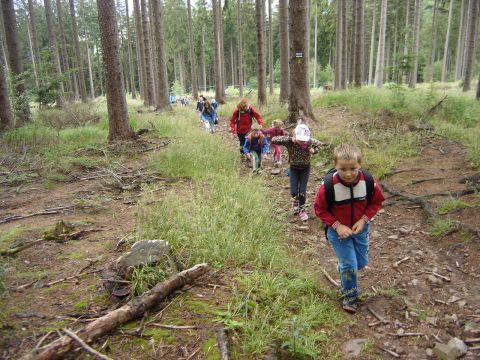 Wycieczka w Masyw Śnieżnika s48 - PTTK Strzelin