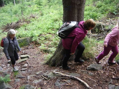 Wycieczka w Masyw Śnieżnika s56 - PTTK Strzelin