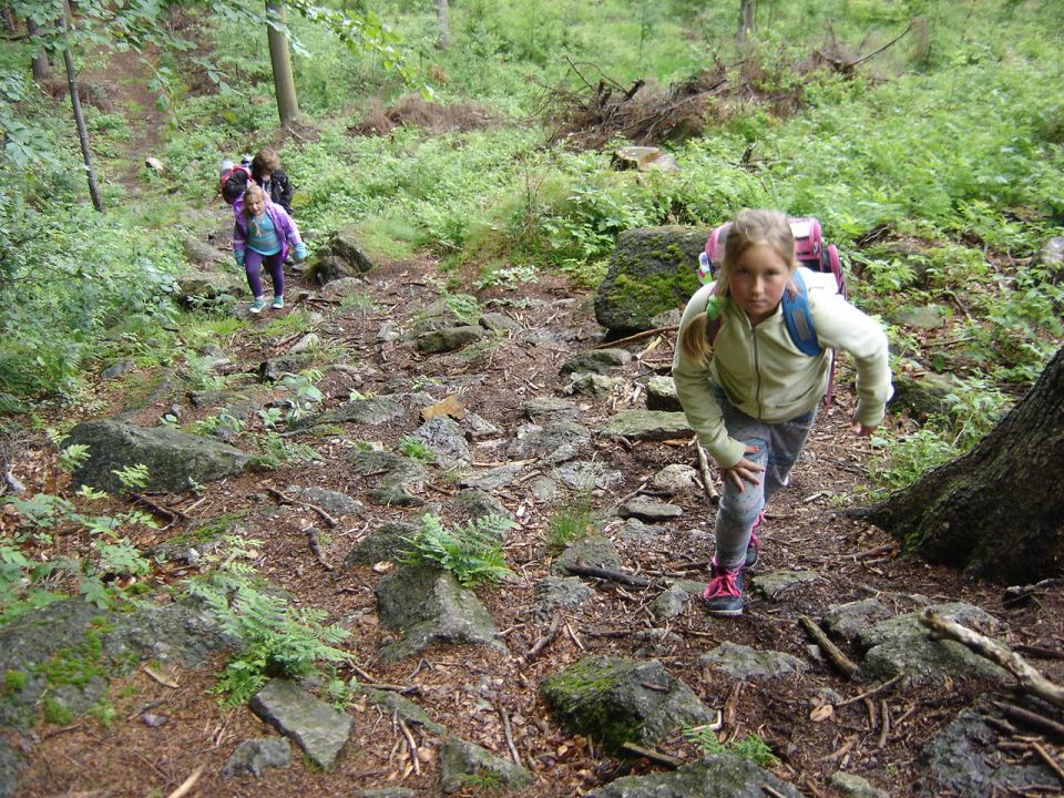 Wycieczka w Masyw Śnieżnika s003 - PTTK Strzelin