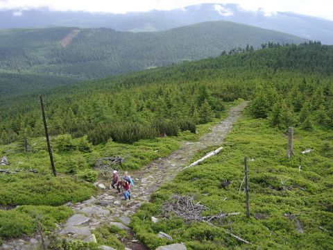 Wycieczka w Masyw Śnieżnika s60 - PTTK Strzelin