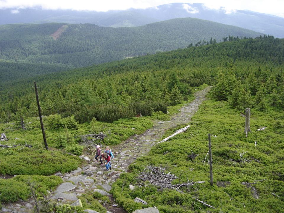 Wycieczka w Masyw Śnieżnika s003 - PTTK Strzelin