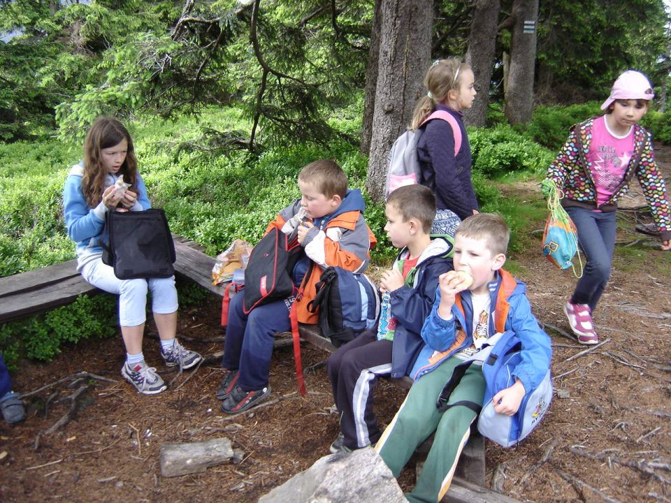 Wycieczka w Masyw Śnieżnika s003 - PTTK Strzelin