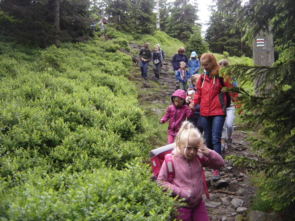 Wycieczka w Masyw Śnieżnika s003 - PTTK Strzelin