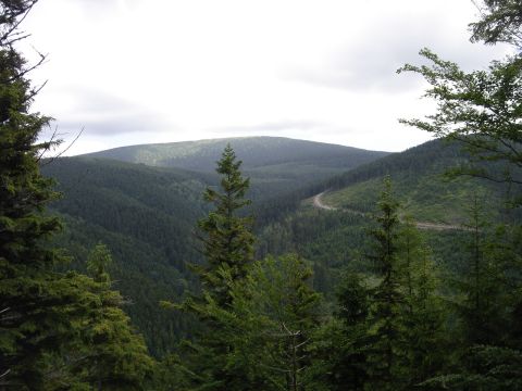 Wycieczka w Masyw Śnieżnika s36 - PTTK Strzelin