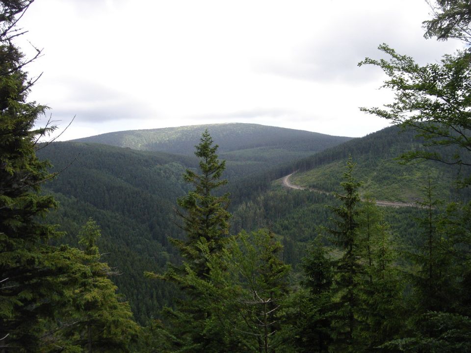 Wycieczka w Masyw Śnieżnika s003 - PTTK Strzelin