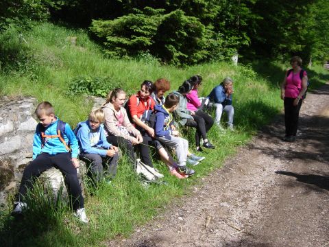 Wycieczka w Masyw Śnieżnika s39 - PTTK Strzelin