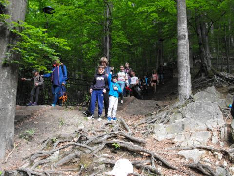 Wycieczka w Masyw Śnieżnika s7 - PTTK Strzelin
