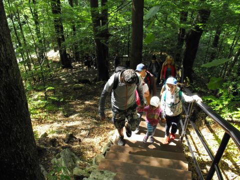 Wycieczka w Masyw Śnieżnika s11 - PTTK Strzelin